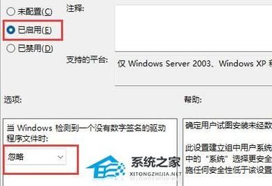 Win11提示显卡驱动安装出现未知错误怎么解决？