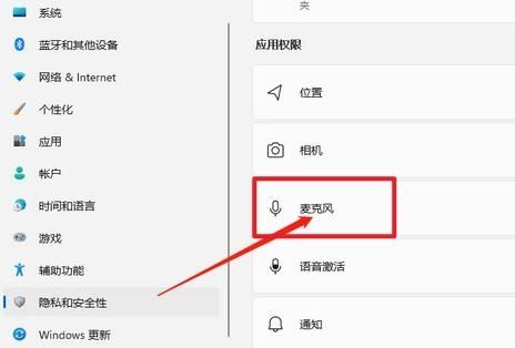 Win11麦克风说话别人听不见怎么办？Win11麦克风没禁用没声音解决方法