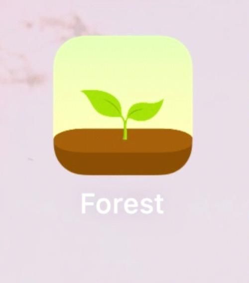 Forest专注森林2024最新版v4.72.0