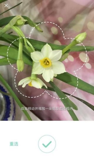 拍照识花神器最新版免费v5.5.9