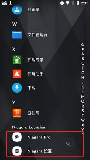 Niagara Launcher Pro汉化中文版v1.12.2