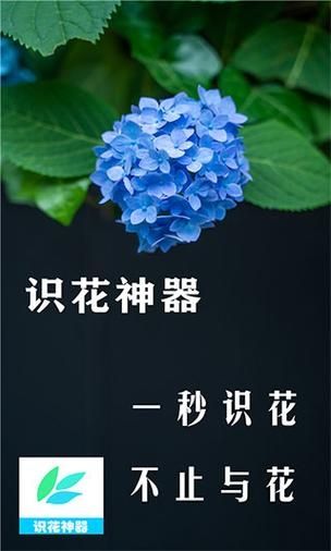 识花君拍照识花专业版手机v1.1.1