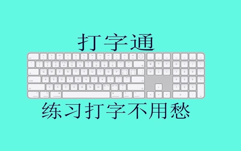 汉字打字练习最新版v1.1