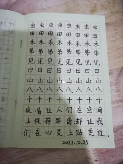 随笔练字专业版手机v1.0.0