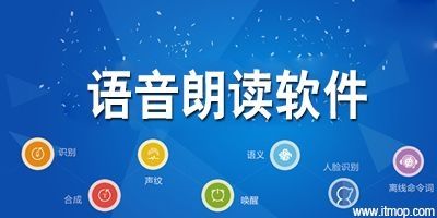 屏幕朗读安卓版软件v9.4.7