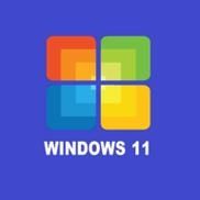 W11win11模拟器安卓版v0.1