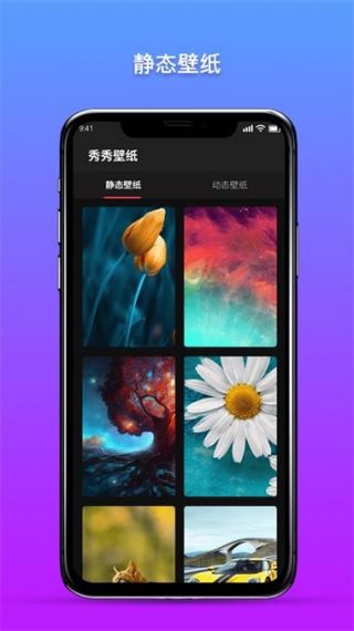 壁纸小助手手机版v1.0.0