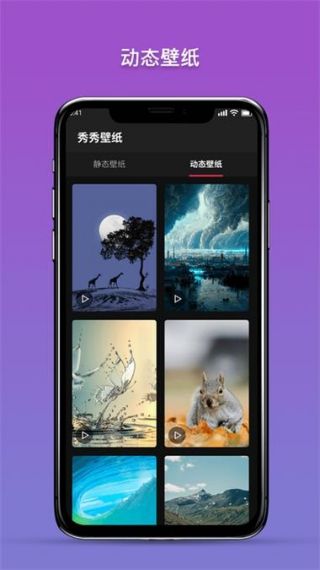 壁纸小助手手机版v1.0.0