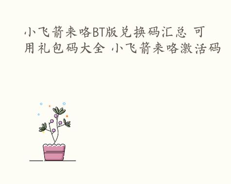 小飞箭来咯兑换码有什么