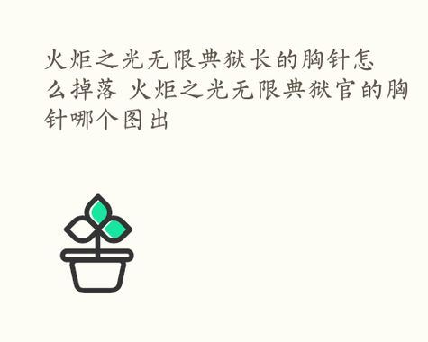 火炬之光无限典狱长的胸针怎么掉落