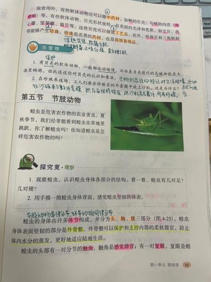 生物原型手机版加点怎么培养