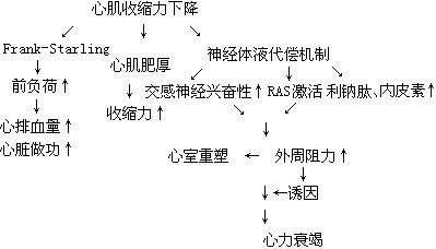 彼界心力机制分析